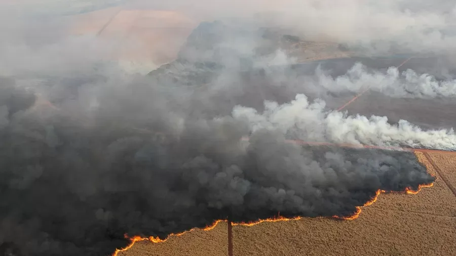 Produtores rurais criticam Decreto 12.189 e pedem revisão ao Congresso Nacional