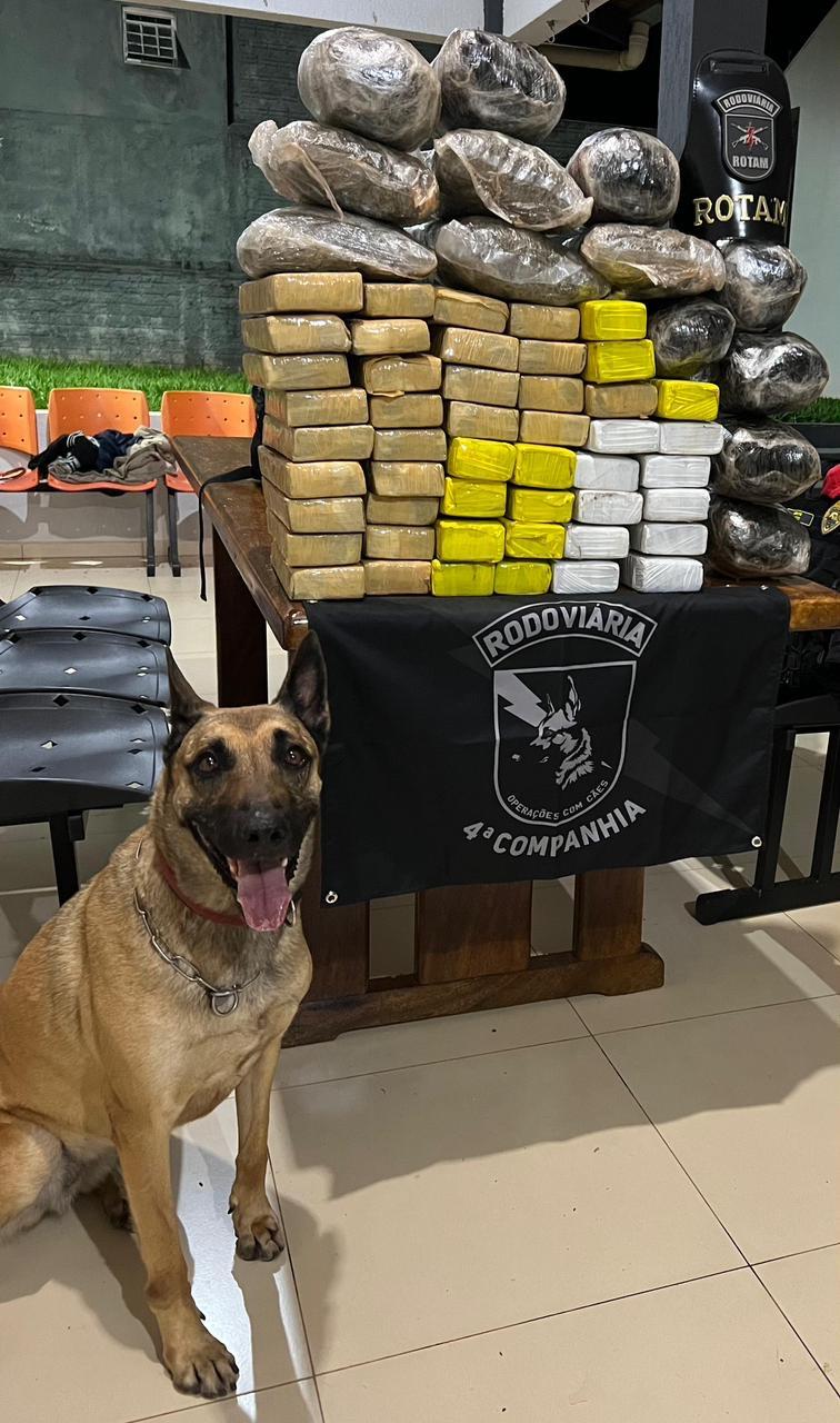 Operações da Polícia Rodoviária no PR resultam em apreensão de drogas e contrabando