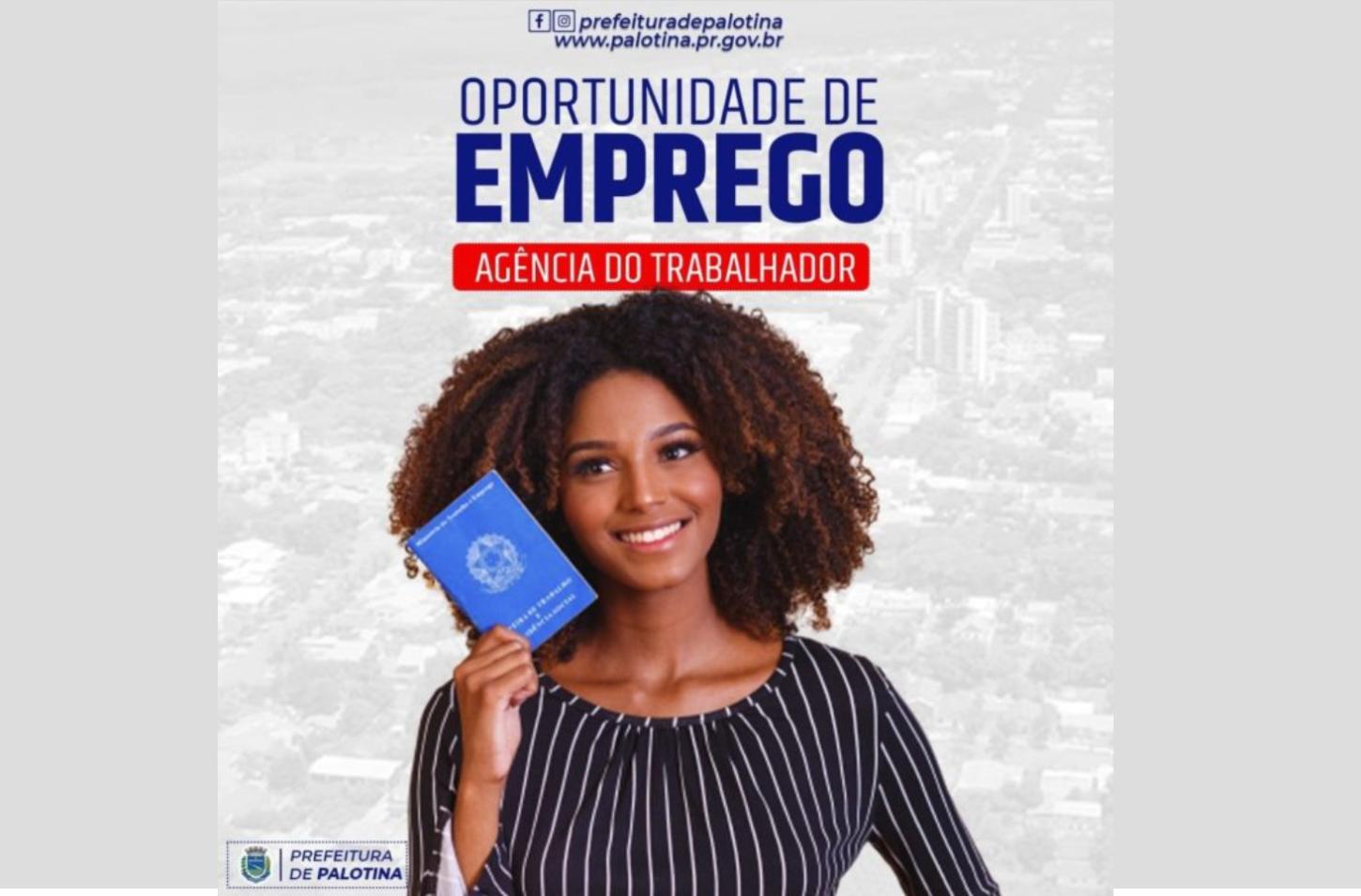 Palotina inicia a semana com 250 vagas de emprego abertas