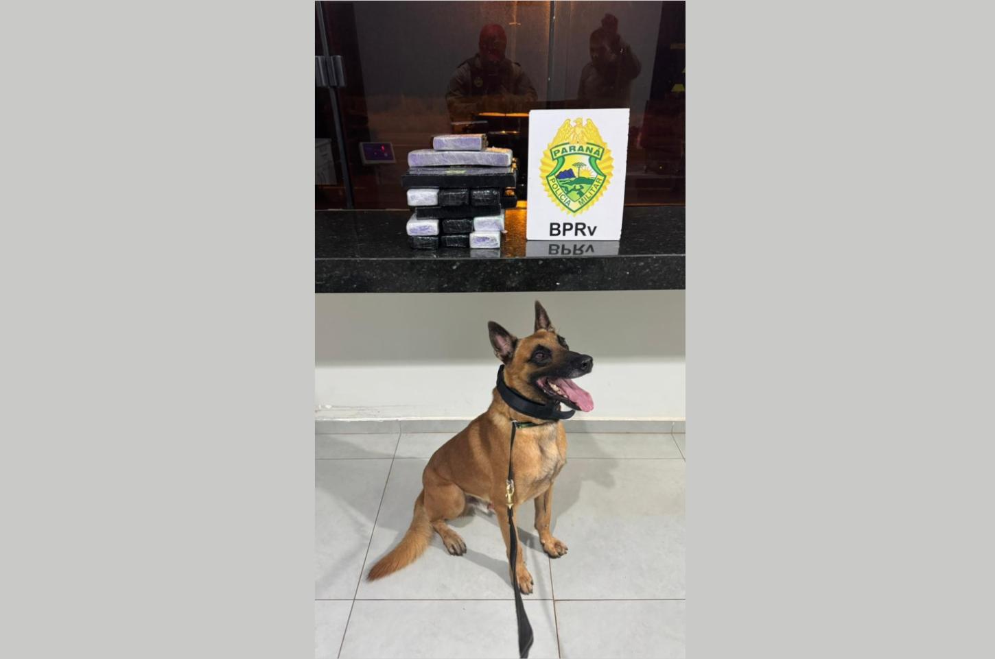 Ação da PM resulta em apreensão de maconha e prisão de dois indivíduos