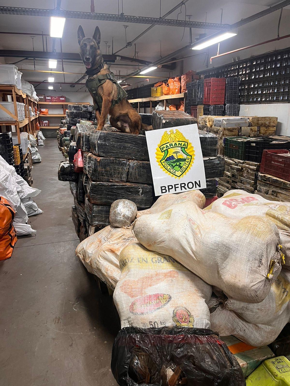 BPFRON apreende 6 toneladas de maconha em Santa Helena