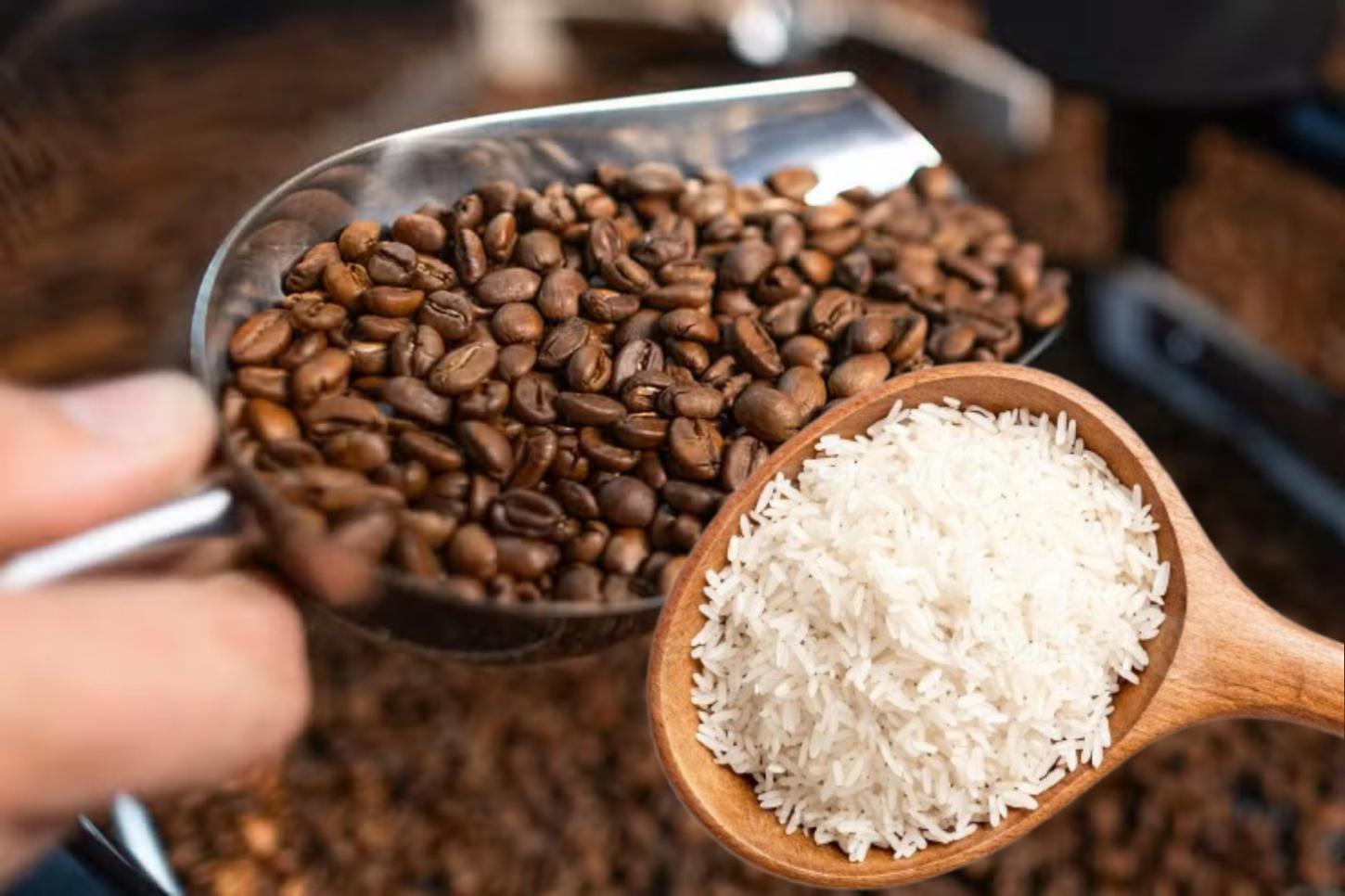 CEPEA registra queda nos preços do arroz e do café