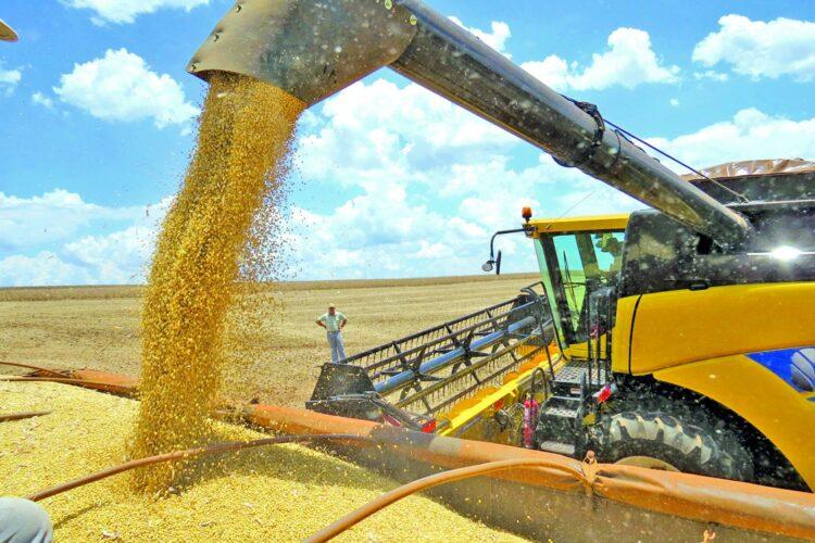 Governo federal libera R$ 4,17 bilhões para o Plano Safra