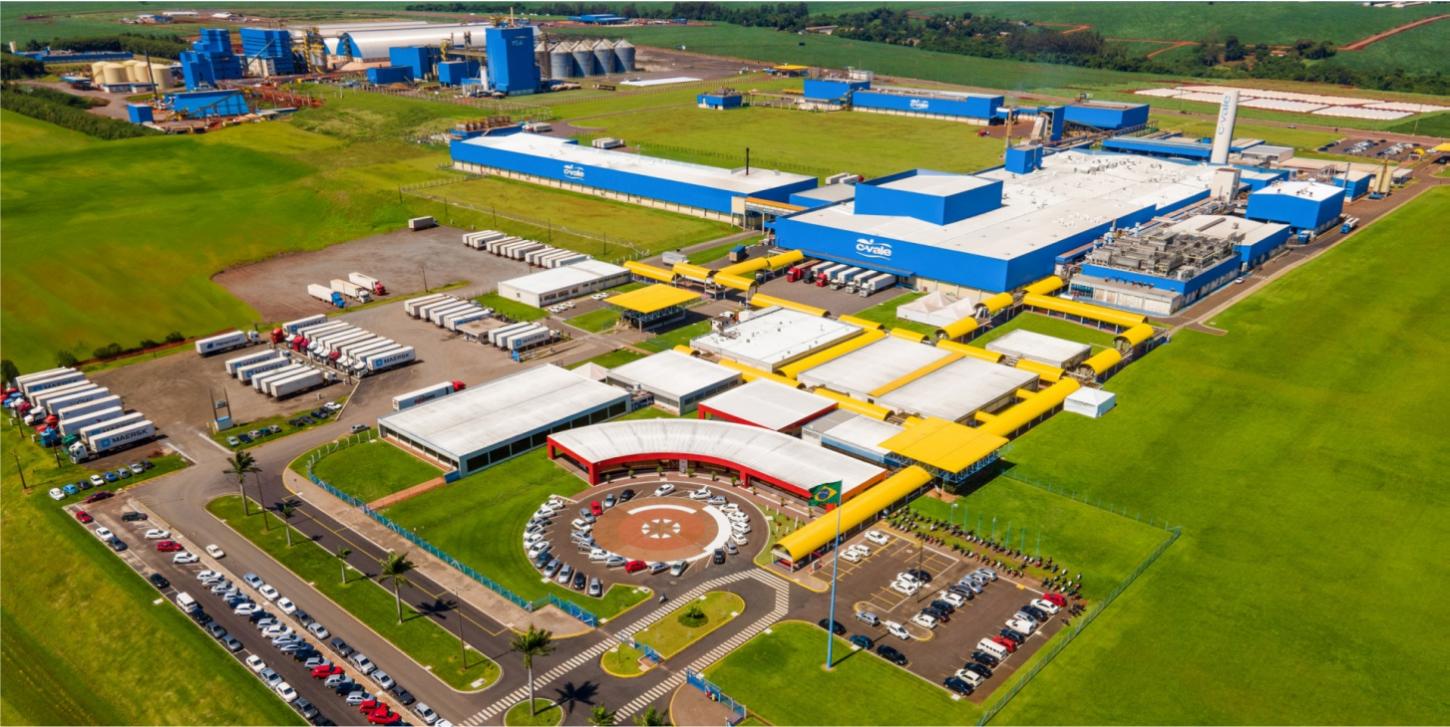 Do sonho de 1963 à gigante do agronegócio brasileiro