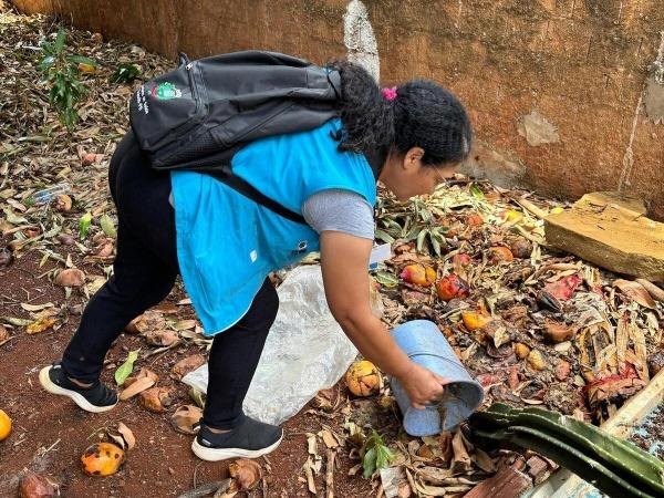 Foto: arrastão da dengue em Toledo (PR) - de Wanderson Schumacher