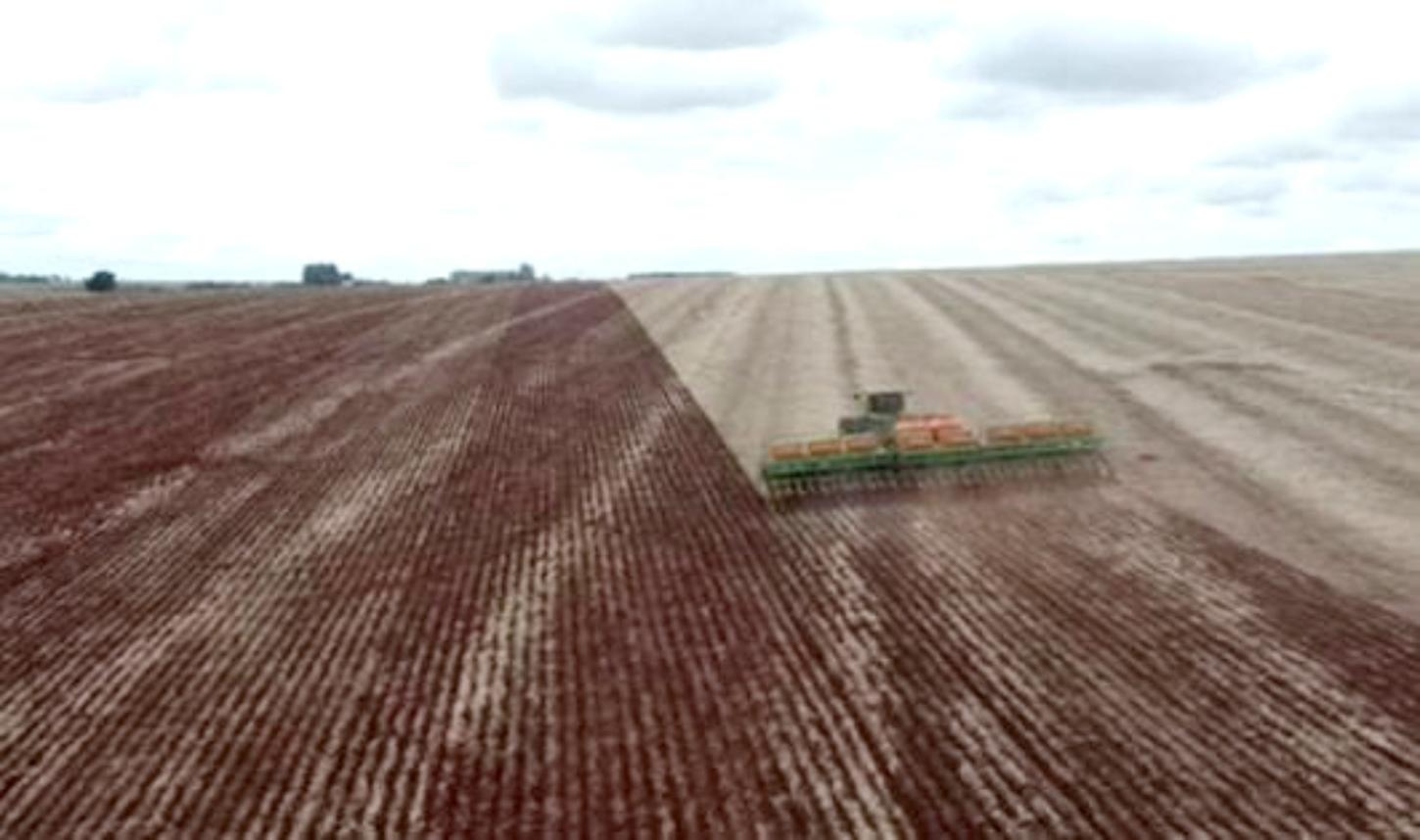 Solo fértil e manejo eficiente: o diferencial da soja em MS