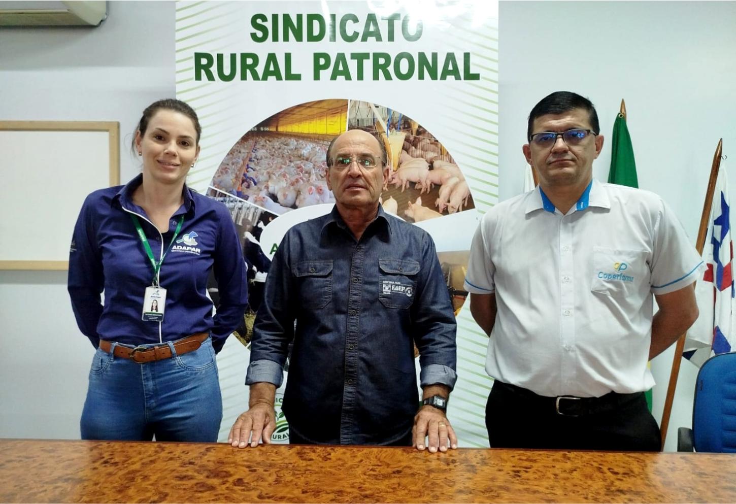 Entidades de Palotina alertam a população sobre gripe aviária