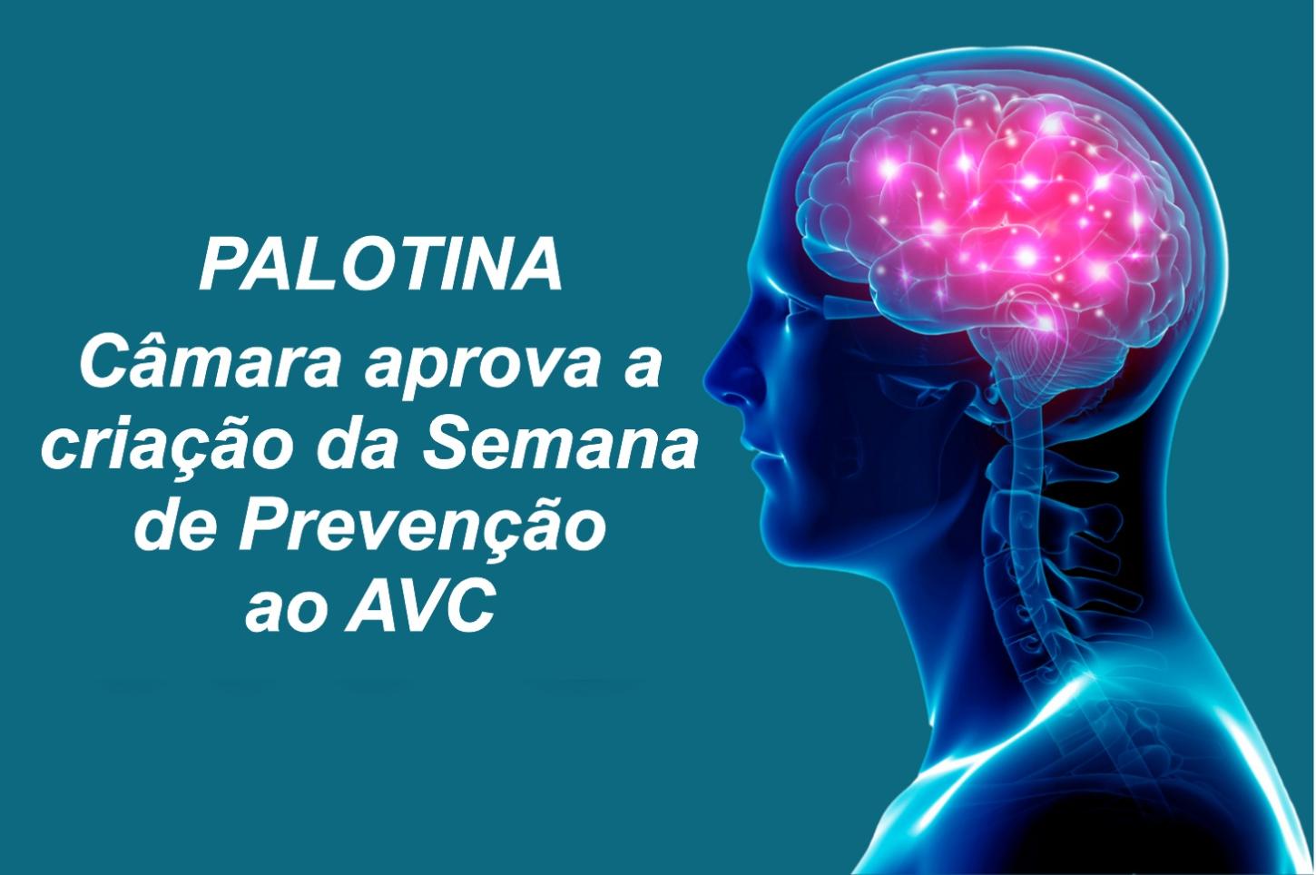 Câmara aprova criação da Semana de Prevenção ao AVC em Palotina