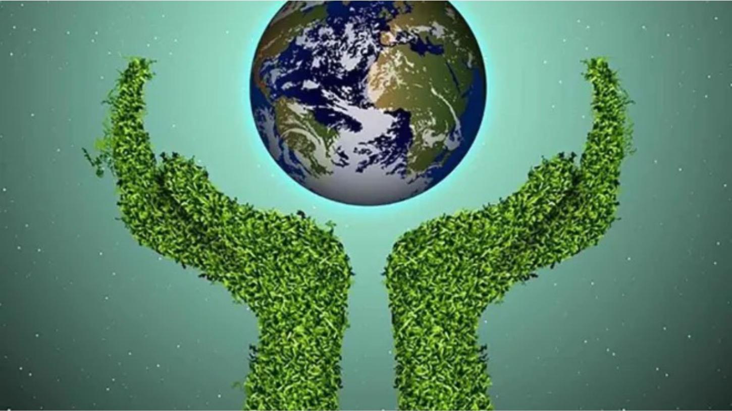 Dia Mundial do Meio Ambiente reforça urgência da preservação ambiental