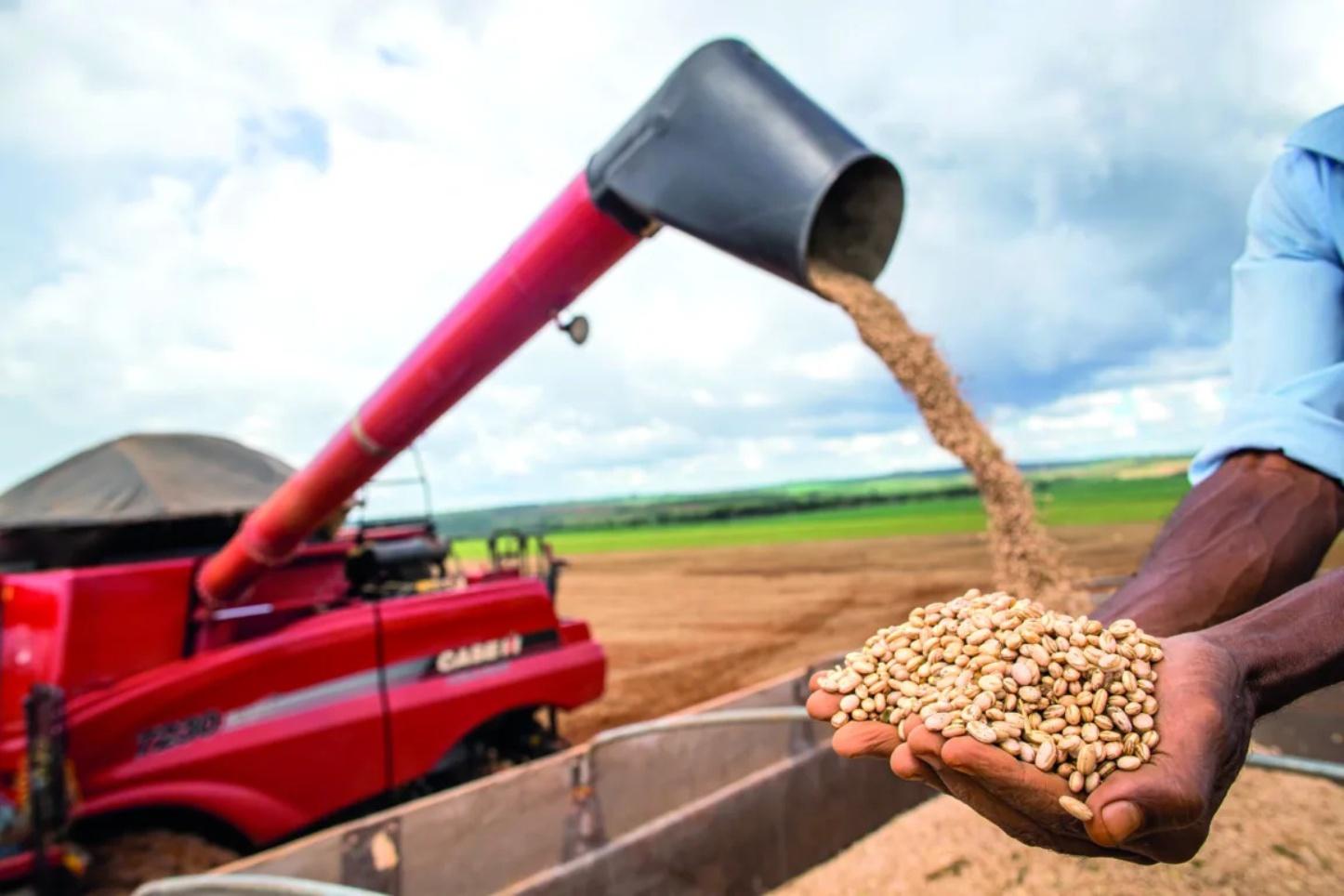 Feijão: Brasil bate recorde histórico nas exportações