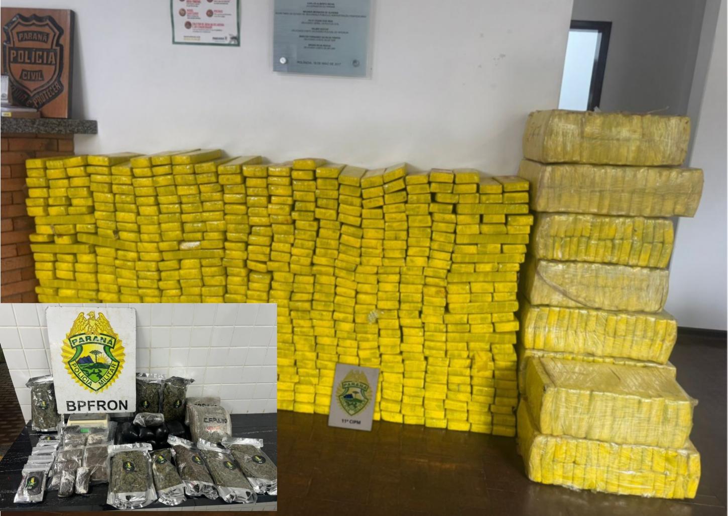 PM apreende mais de 627 kg de maconha e detém suspeito