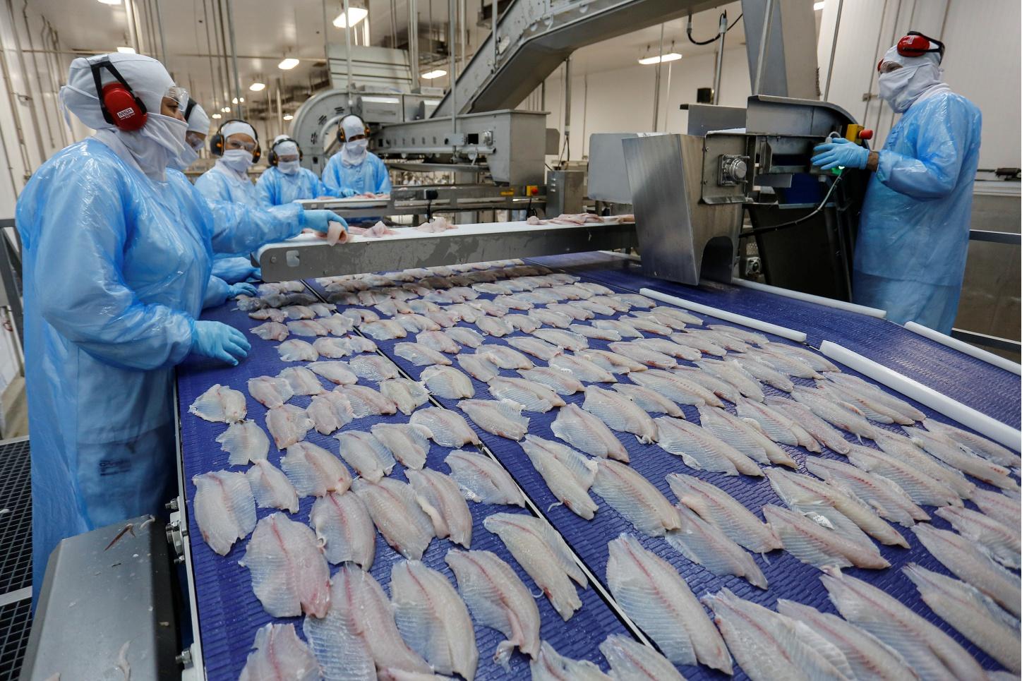 Palotina está entre as maiores produtoras da pecuária nacional