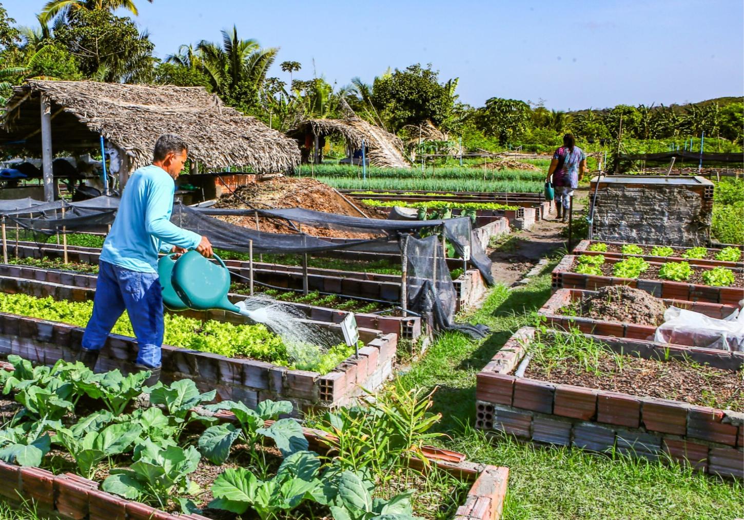 Governo sanciona lei que amplia acesso de agricultores familiares ao Garantia-Safra
