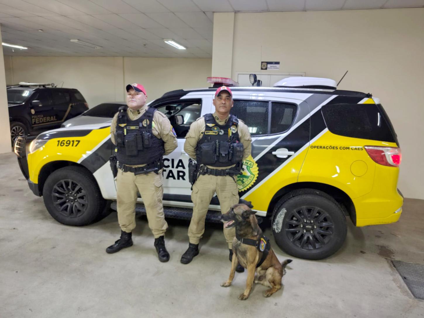 Polícia Militar apreende mais de 11 toneladas de maconha na BR-277