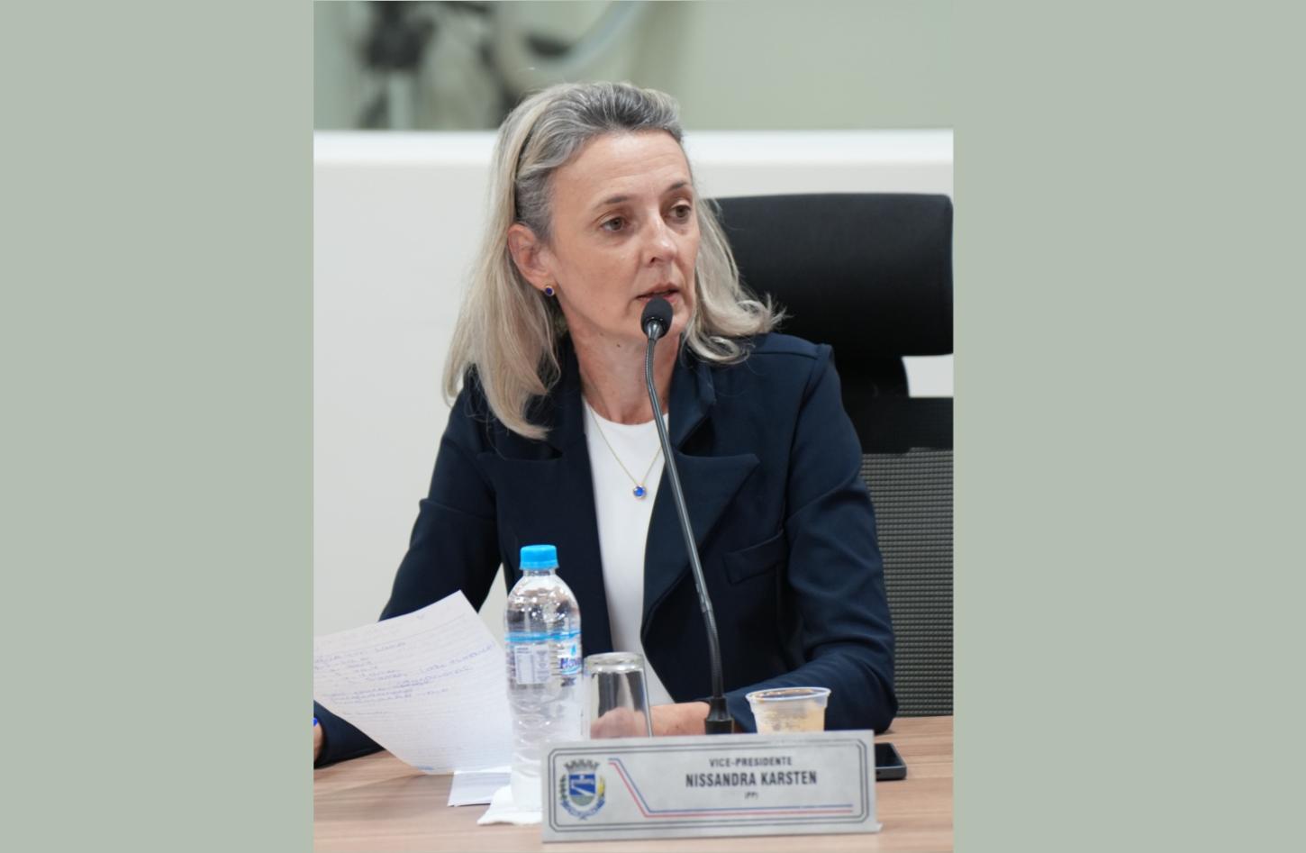 Câmara de Palotina analisa criação do programa “Memórias de Maria”