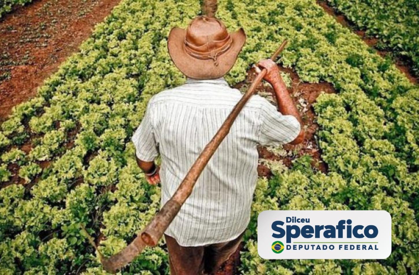 Sperafico (PP) vota a favor de projeto que protege terras produtivas da desapropriação