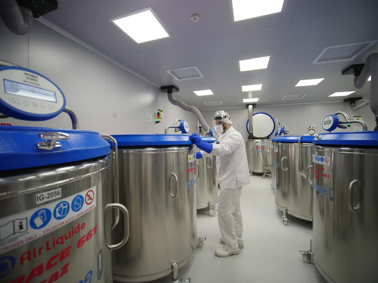 Paraná assume liderança nacional na proteção contra a aftosa