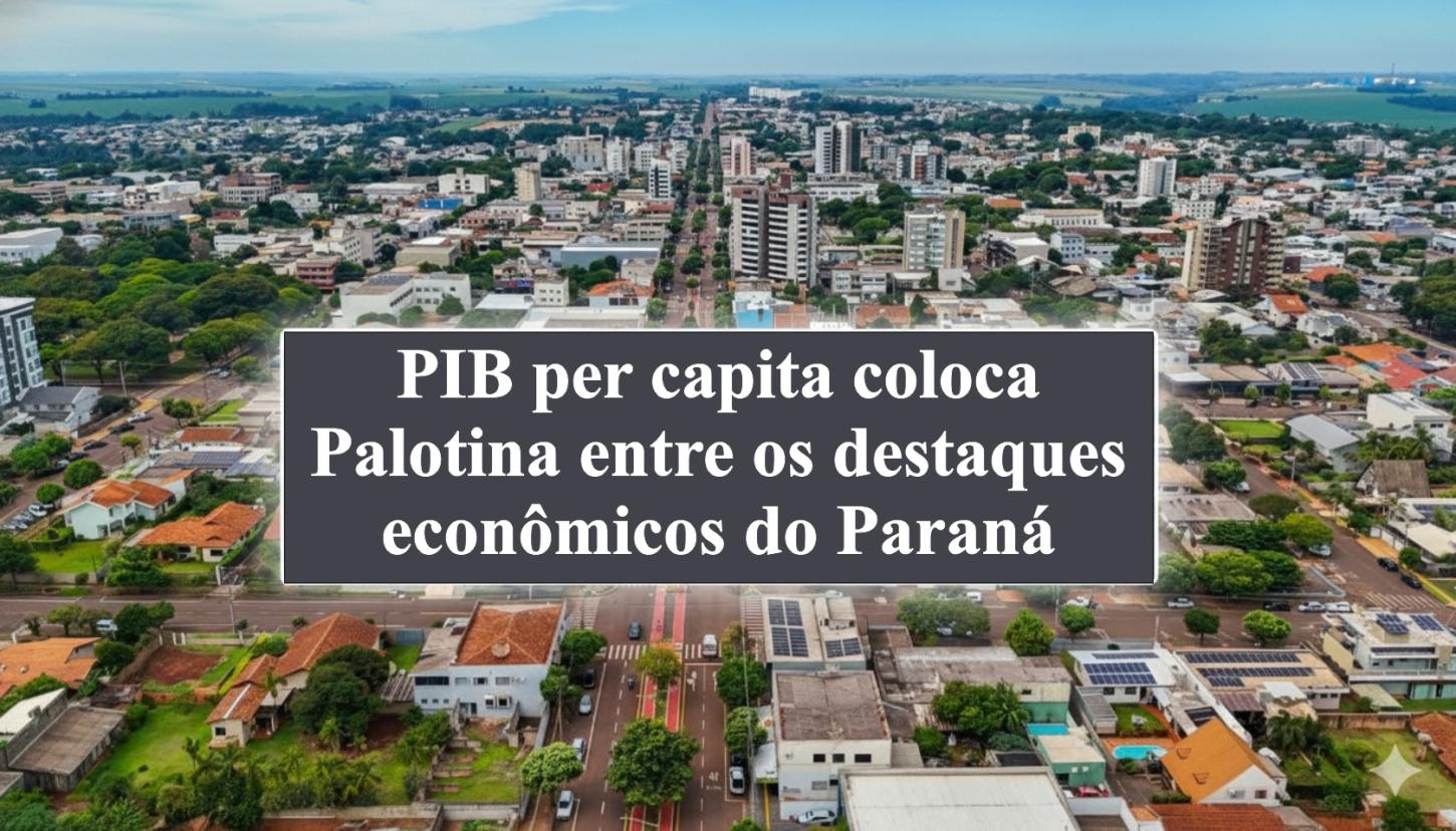 PIB per capita coloca Palotina entre os destaques econômicos do Paraná