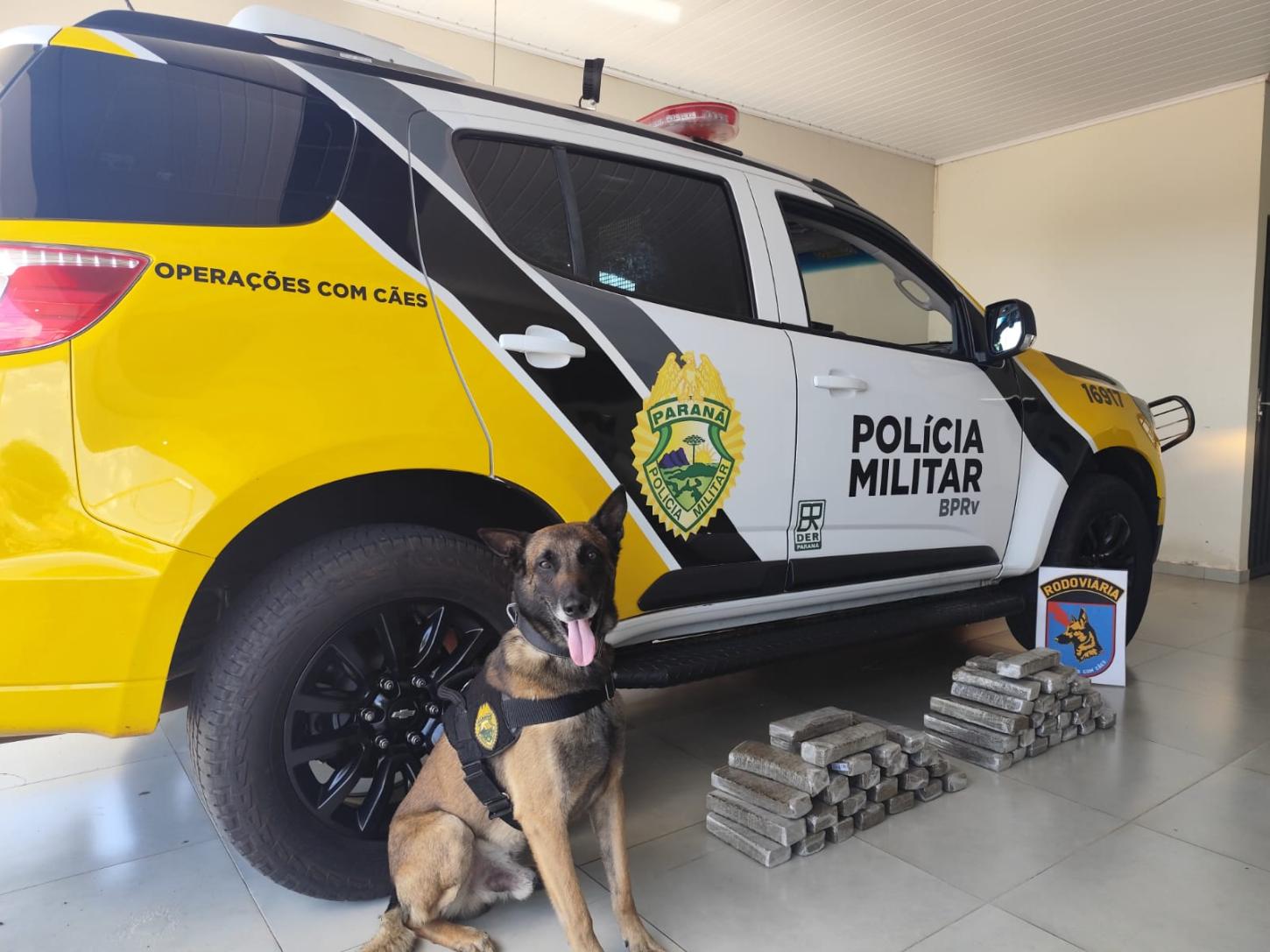 Polícia Militar apreende quase 30 kg de drogas em Iporã