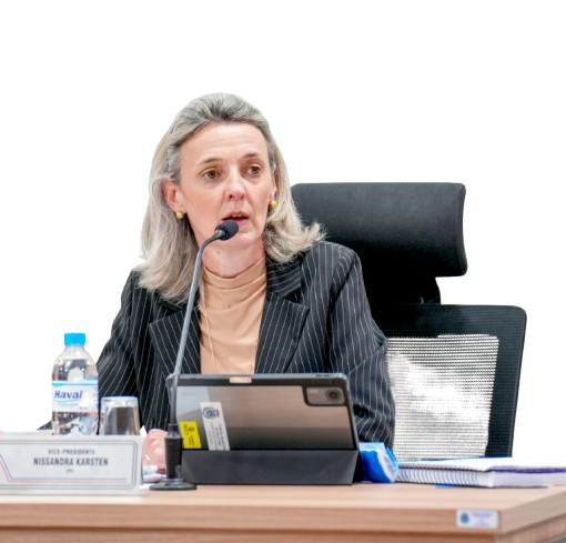 Vereadora Nissandra apresentou mais de 186 proposições em 2025