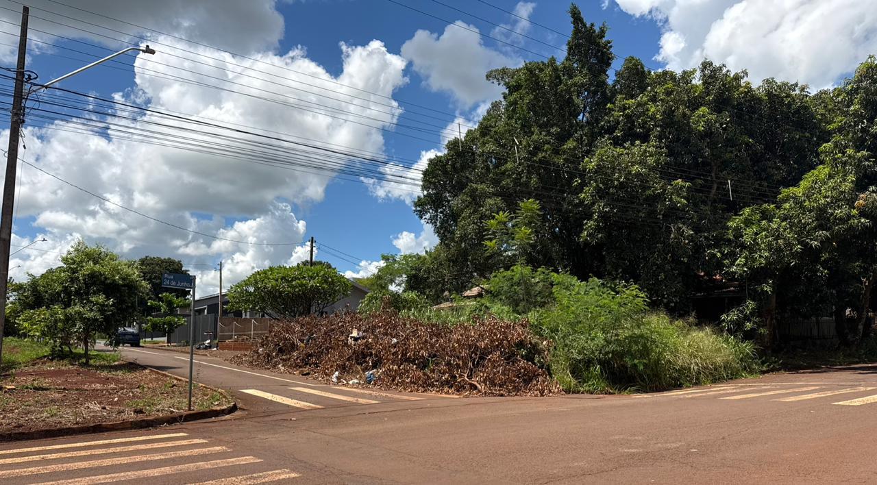 Galhos acumulados geram reclamações no bairro União, em Palotina