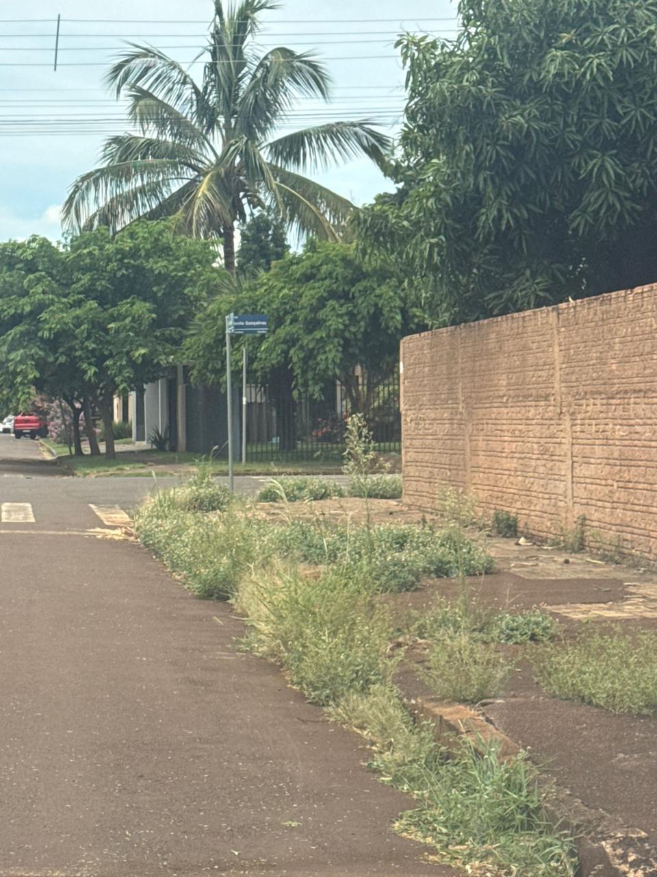 Área central abandonada escancara falhas na limpeza pública de Palotina