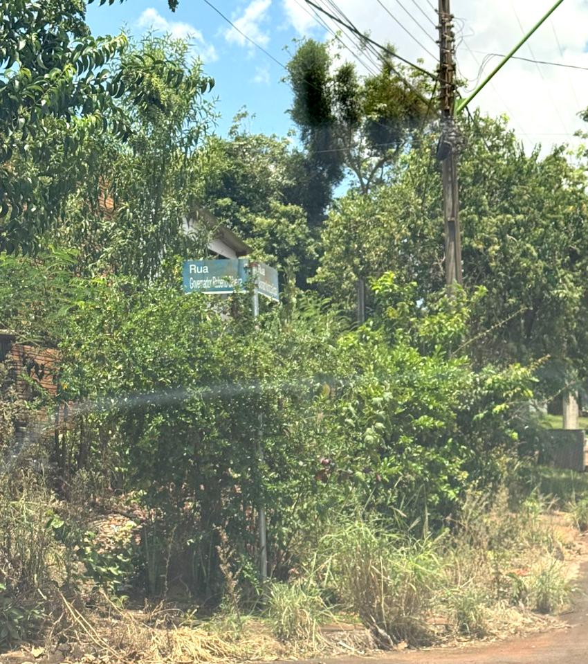 Mato alto em Santa Terezinha gera reclamações de moradores