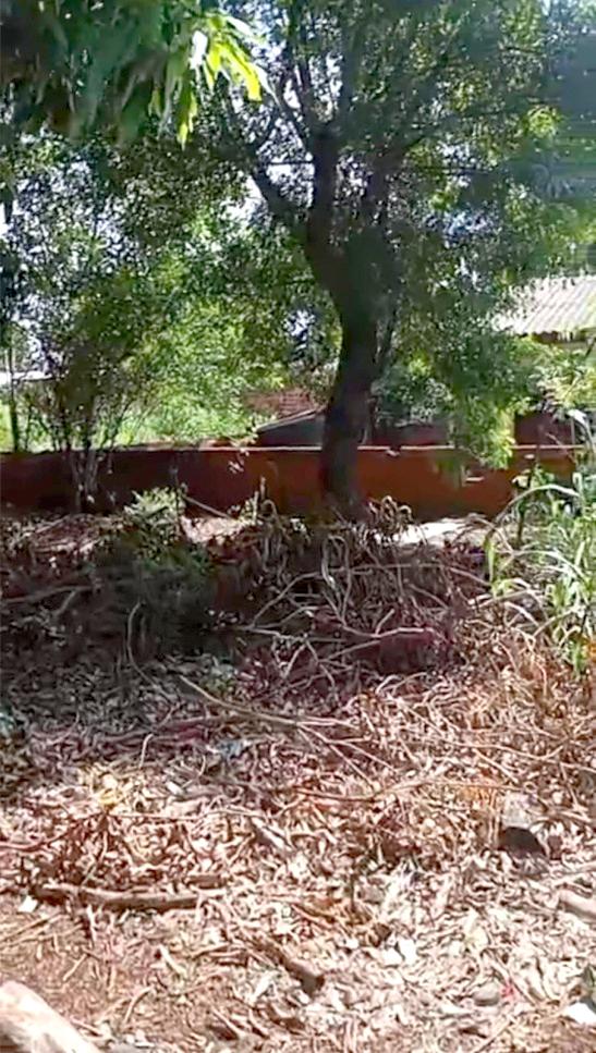 Moradores denunciam abandono de lote público no Jardim Primavera, em Palotina
