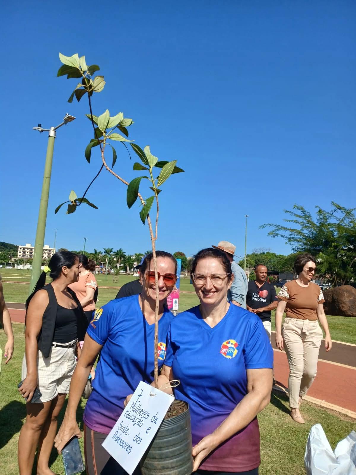 As representantes do SINDIPPA plantaram uma muda de Quaresmeira