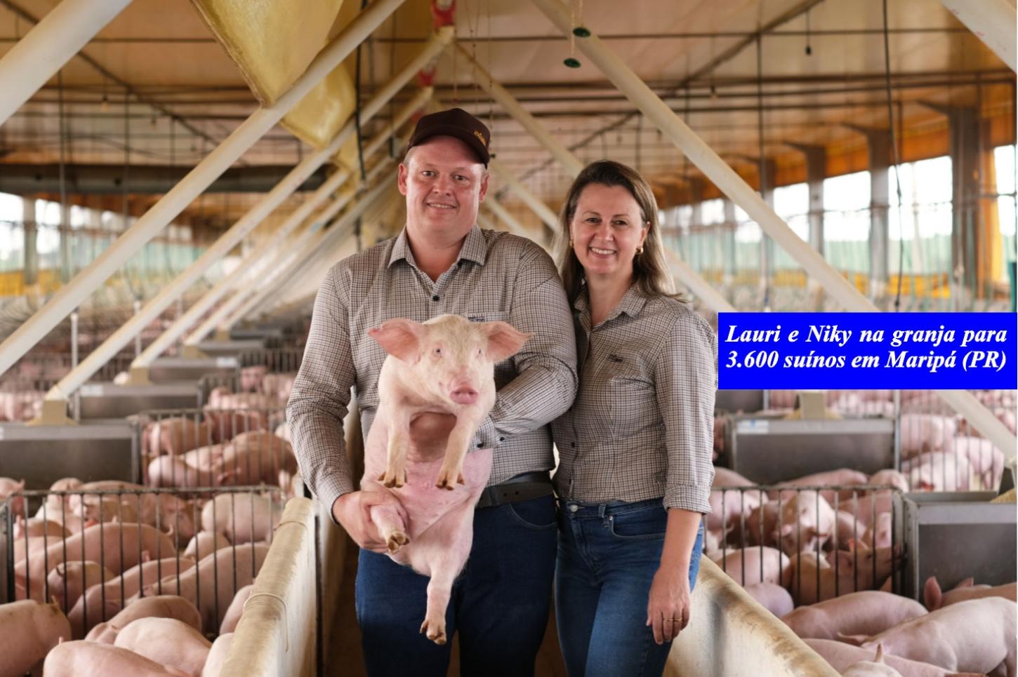 Casal de Maripá se destaca na suinocultura com foco em qualidade e bem-estar animal