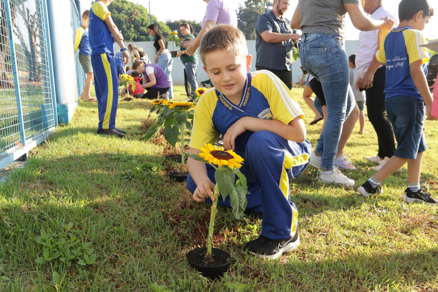 Maripá promove ação de conscientização no Dia Mundial do Autismo com plantio de girassóis