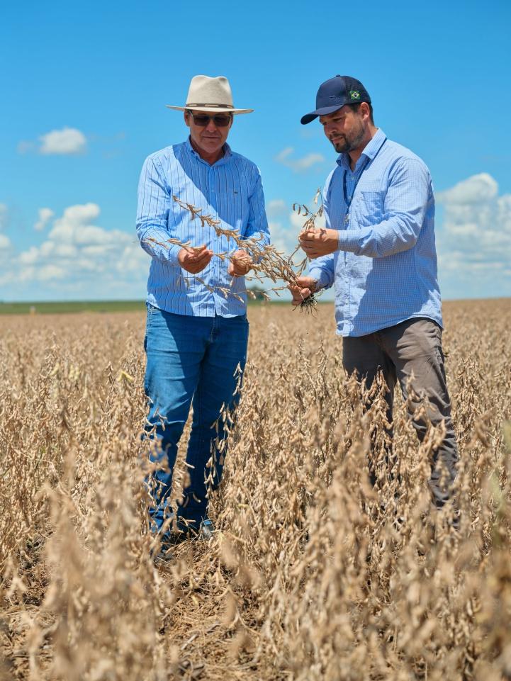 Claudir Bernardi fechou colheita de 194 hectares em Campo Mourão (PR), com rendimento médio de 65 sacas/hectare