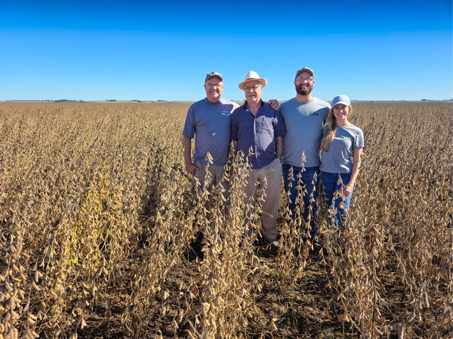 Solo fortalecido vira aliado contra a seca no campo gaúcho