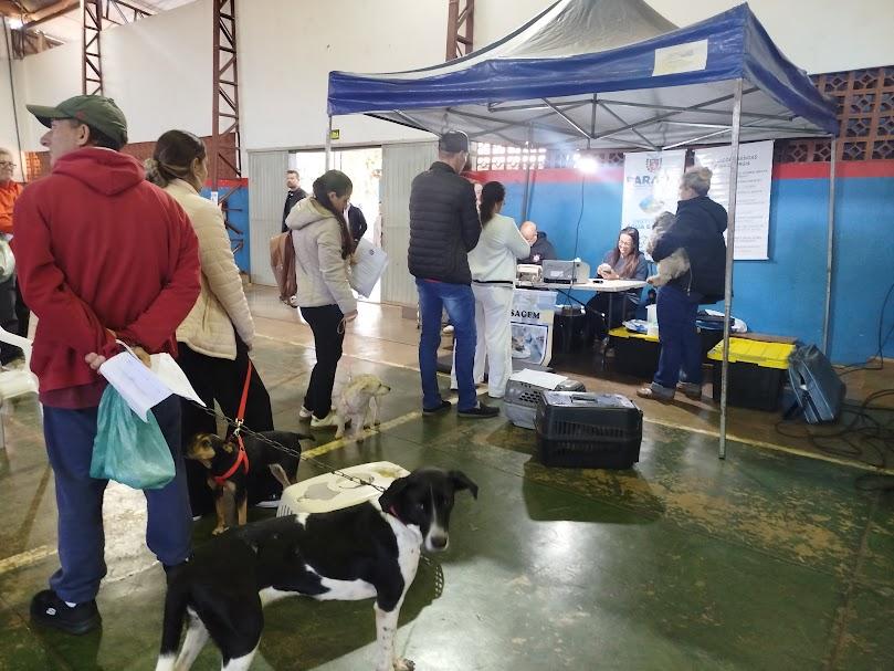 Palotina amplia cuidado com os animais e realiza mais uma etapa do Castrapet Paraná