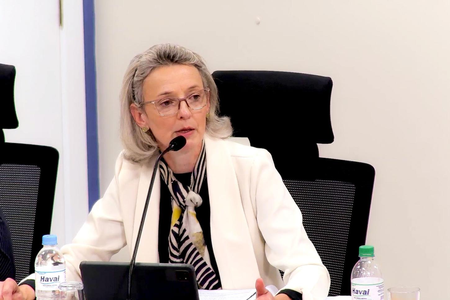 Vereadora Nissandra Karsten explicou à reportagem do Megazine News que a emenda supressiva aprovada pela Câmara teve como objetivo adequar o projeto de contratação temporária às exigências legais previstas
