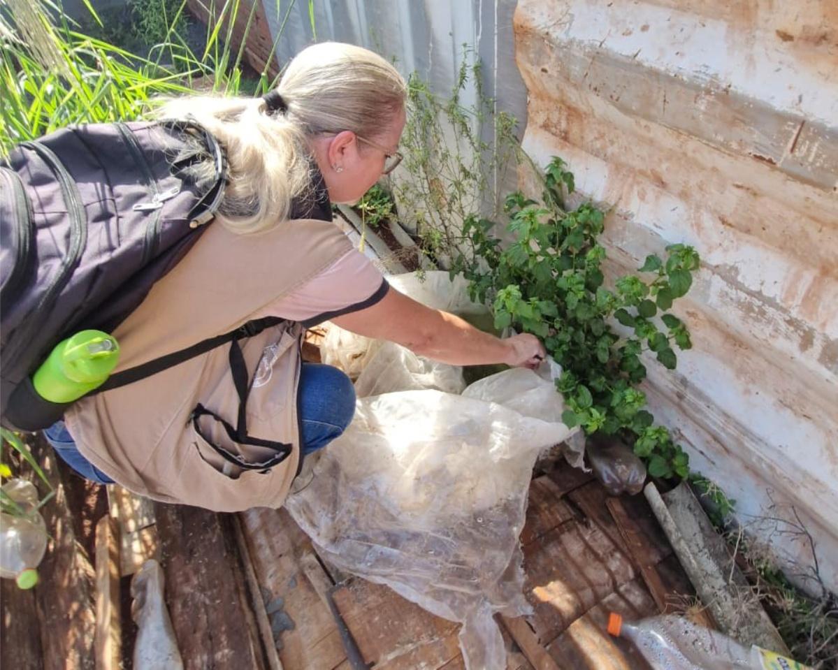 Agentes de endemias intensificam vistorias em imóveis de Palotina para eliminar possíveis criadouros do Aedes aegypti e fortalecer as ações de prevenção à dengue no município (Foto: Assessoria – Prefeitura)