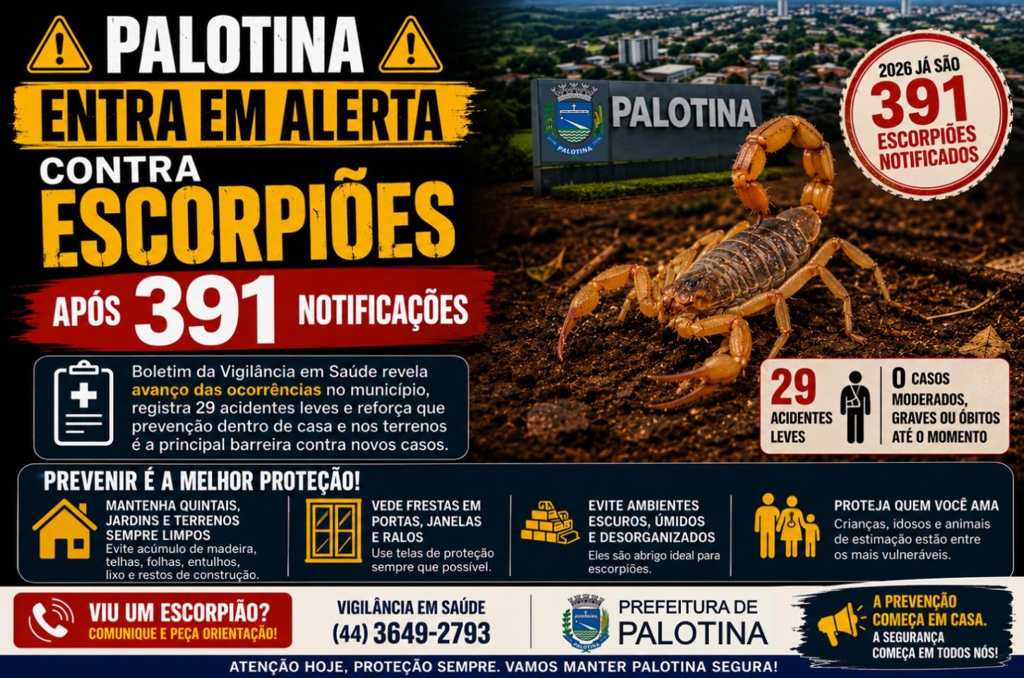 Palotina entra em alerta contra escorpiões após 391 notificações