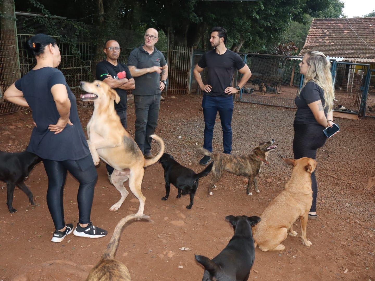Durante visita à ONG Quatro Patas, o prefeito Rodrigo Ribeiro conheceu de perto o trabalho desenvolvido pelos voluntários que acolhem, tratam e buscam adoção responsável para cerca de 150 cães resgatados em Palotina (Foto: Assessoria – Prefeitura)