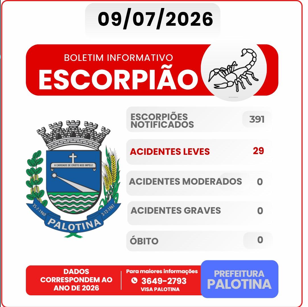 Quadro atualizado da Vigilância em Saúde mostra o avanço das notificações de escorpiões em Palotina em 2026: já são 391 registros e 29 acidentes leves, sem casos graves ou óbitos até o momento