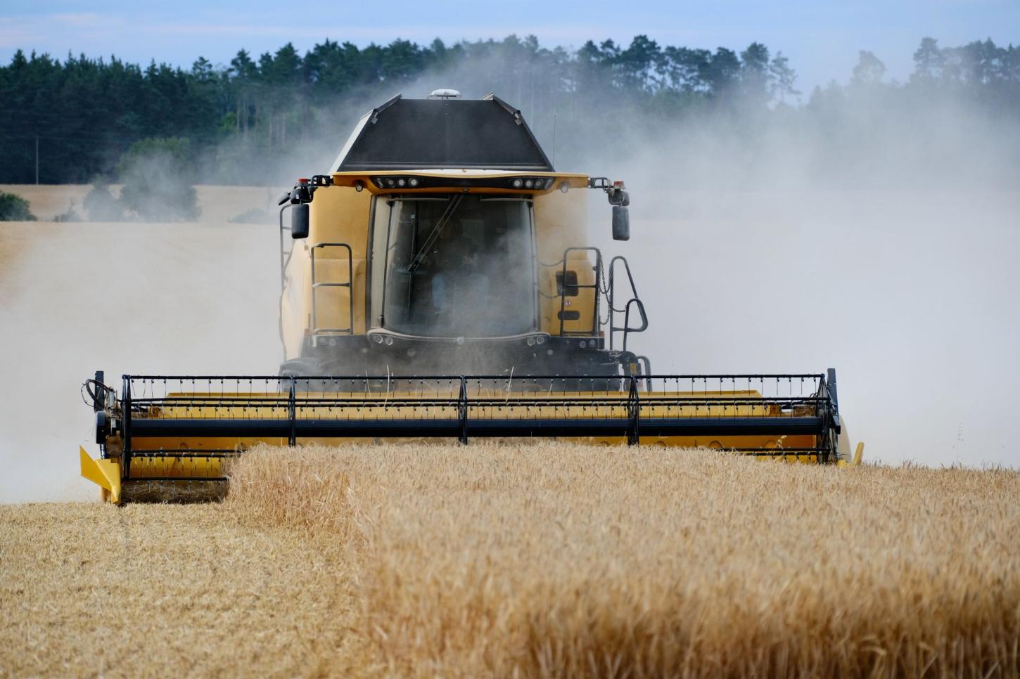 Sem terra para crescer, Paraná dobra valor da produção agropecuária em seis anos