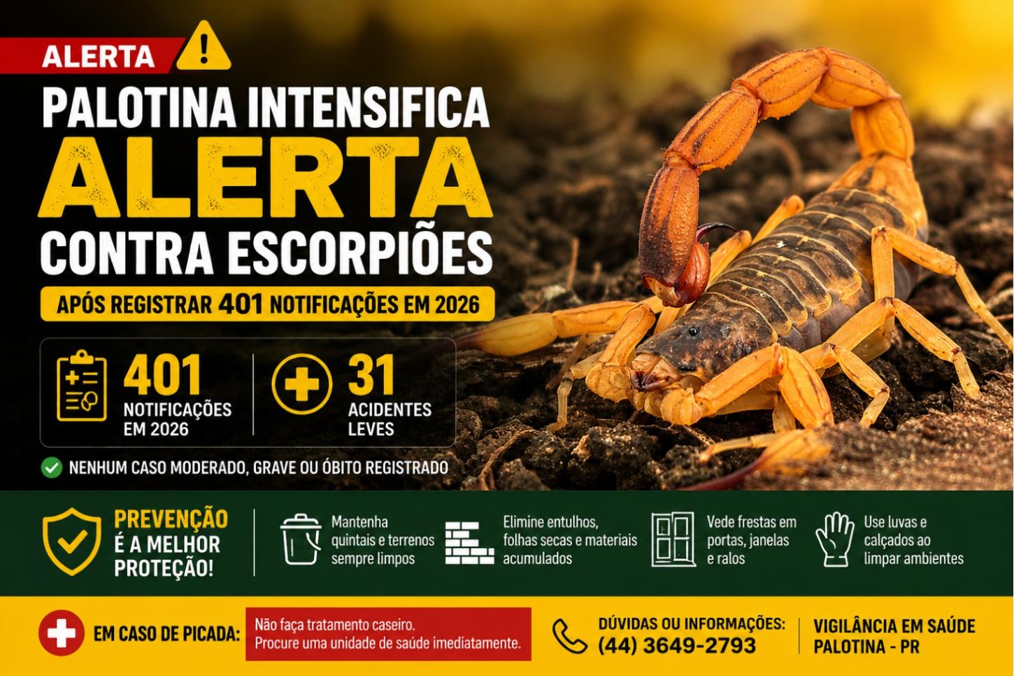 Palotina intensifica alerta contra escorpiões após registrar 401 notificações em 2026