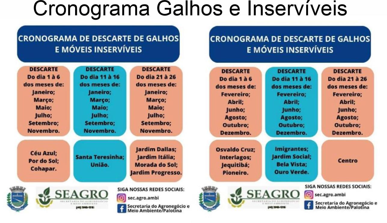 Calendário orienta moradores de Palotina sobre os períodos corretos para o descarte de galhos e móveis inservíveis em cada bairro