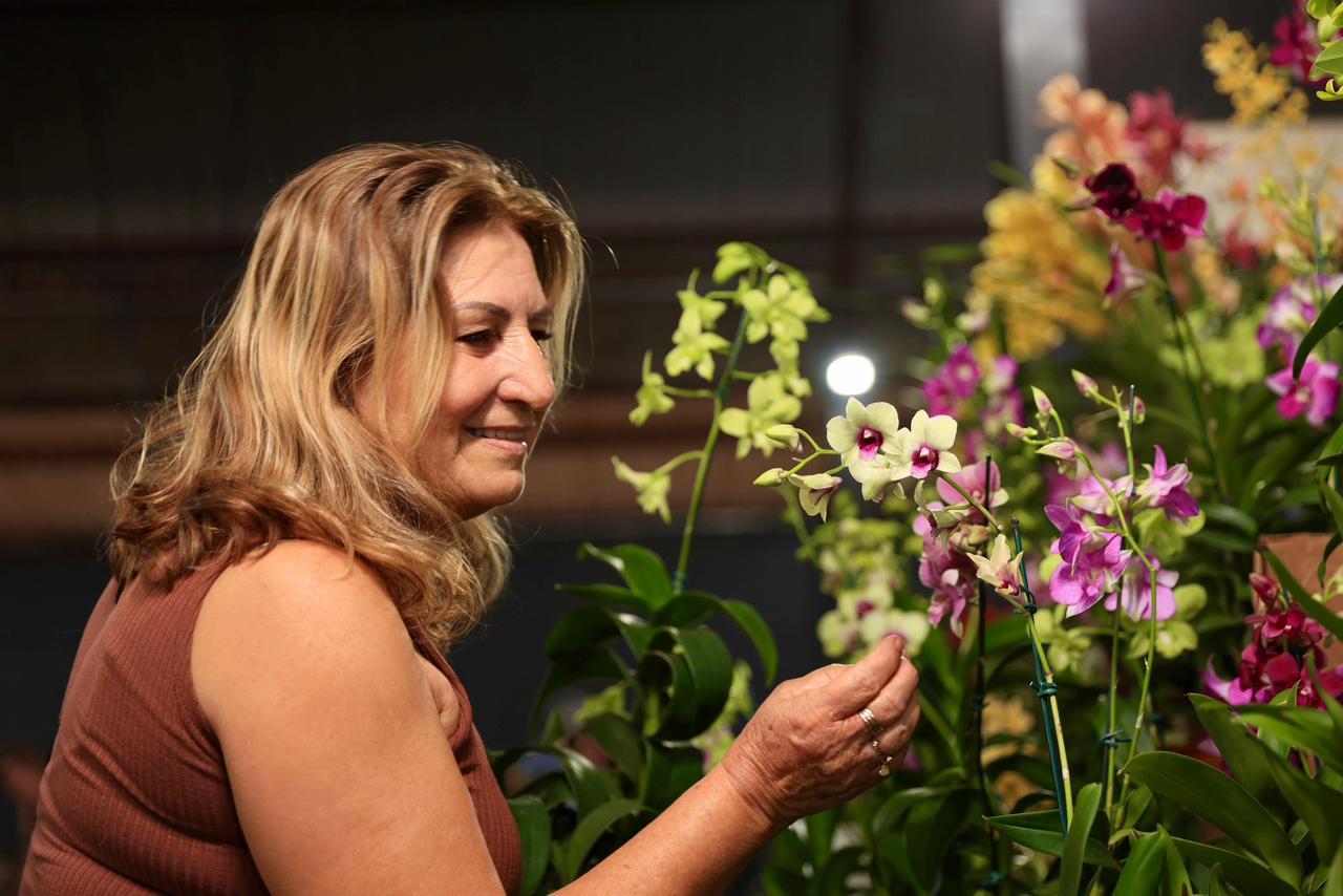 Beleza que encanta: visitante admira uma das orquídeas expostas durante a 26ª Festa das Orquídeas e do Peixe, em Maripá, onde a variedade e as cores das flores estão entre os destaques da programação