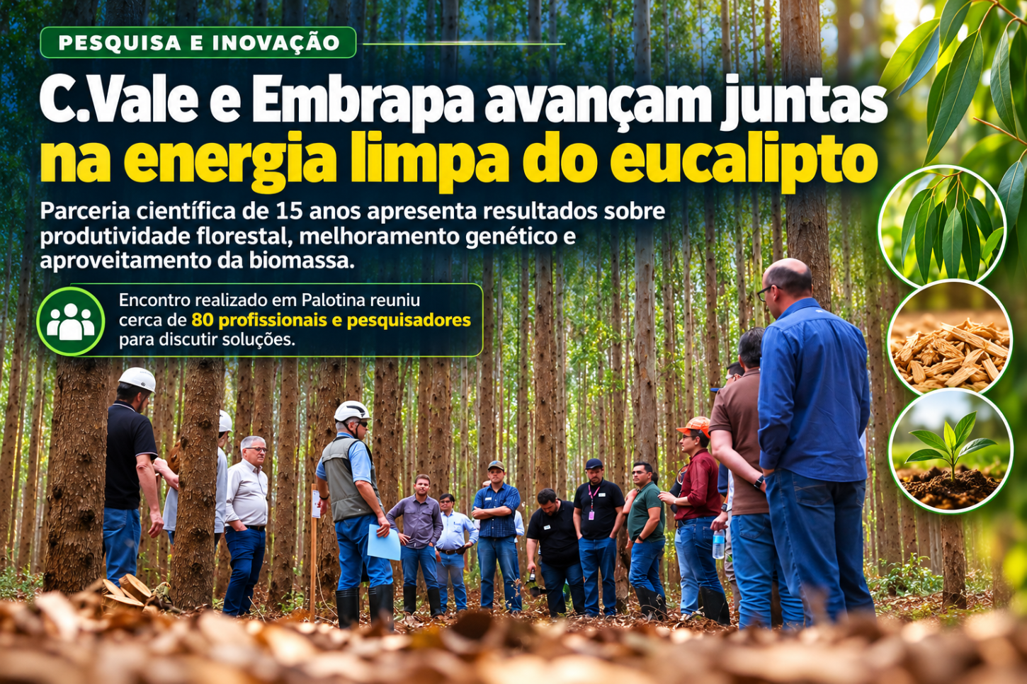 C.Vale e Embrapa avançam juntas na energia limpa do eucalipto