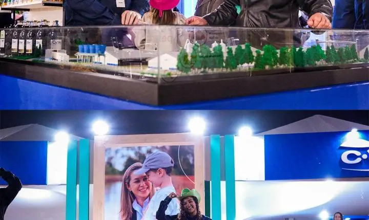 Ana Castela arrasta multidão e faz história na segunda noite da Expo Palotina 2026