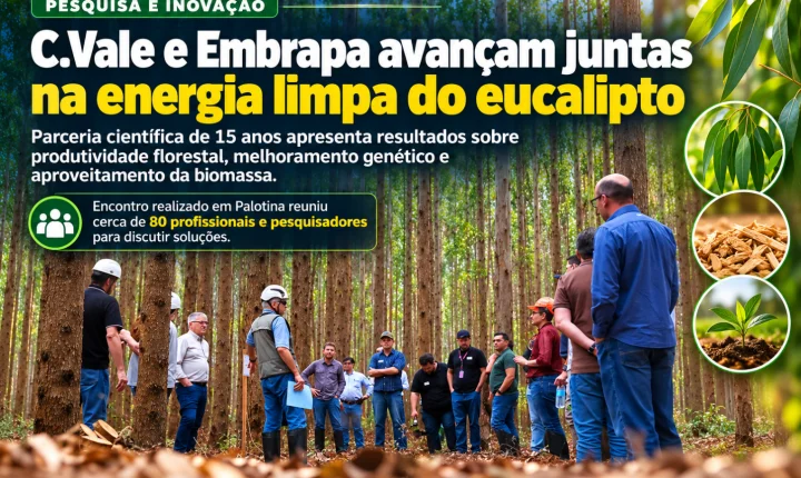 C.Vale e Embrapa avançam juntas na energia limpa do eucalipto