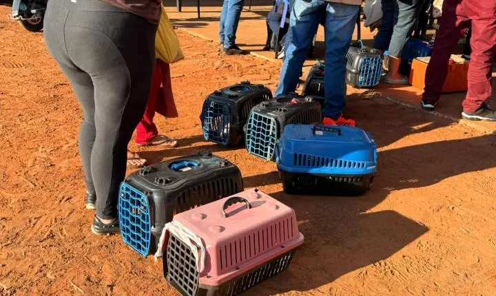 CastraPet transforma cuidado animal em Terra Roxa e beneficia cerca de 200 cães e gatos