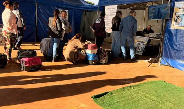 CastraPet transforma cuidado animal em Terra Roxa e beneficia cerca de 200 cães e gatos