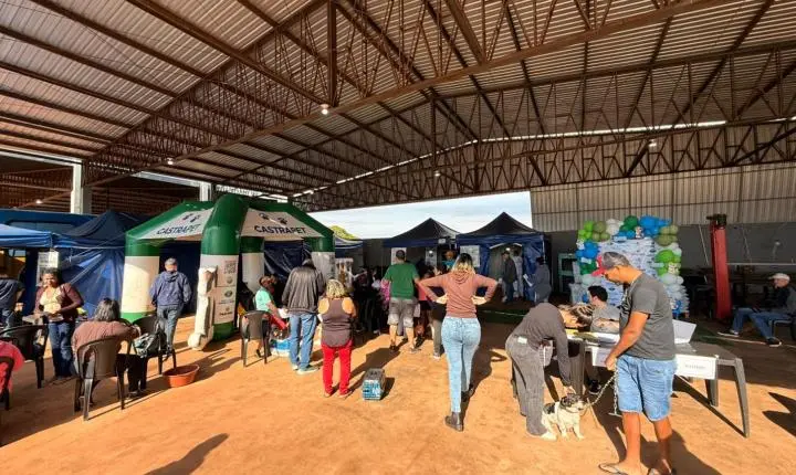 CastraPet transforma cuidado animal em Terra Roxa e beneficia cerca de 200 cães e gatos