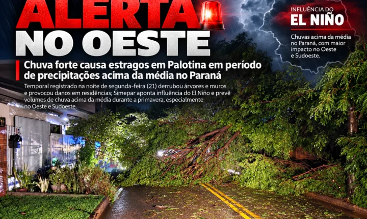Chuva forte causa estragos em Palotina em período de precipitações acima da média no Paraná